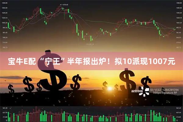 宝牛E配 “宁王”半年报出炉！拟10派现1007元