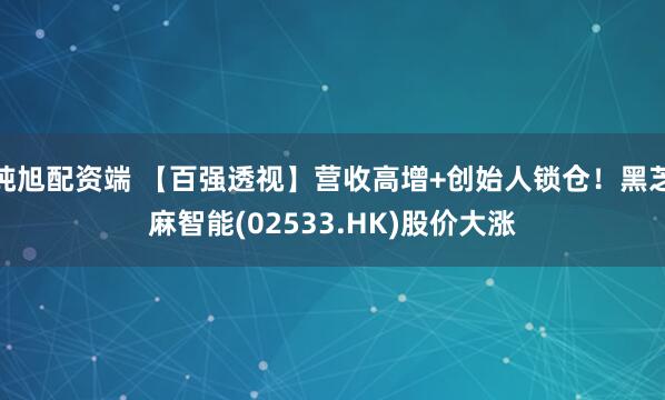 纯旭配资端 【百强透视】营收高增+创始人锁仓!黑芝麻智能(02533.HK)股价大涨